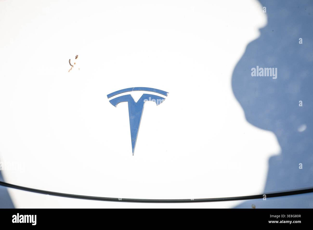 KEY WEST, FLORIDA USA - 27. OKTOBER 2025: Nahaufnahme eines verchromten Tesla-Logoemblems auf der weißen Motorhaube eines Elektrofahrzeugs mit weichem Schatten. Stockfoto