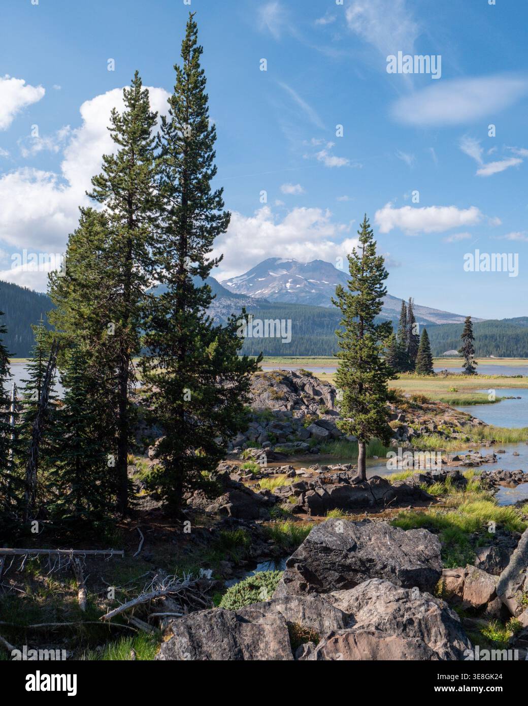 South Sister Mountain, eingerahmt von Tall Pines am Sparks Lake. Vertikaler Blick auf den South Sister Mountain, eingerahmt von hohen Kiefern. Stockfoto