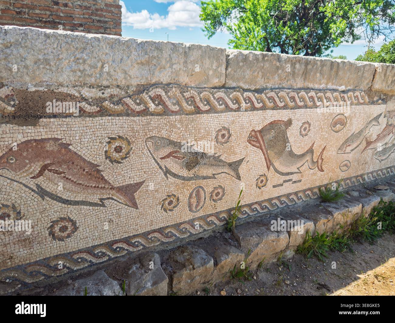Altes römisches Mosaikdetail, das Fische auf einer Steinmauer an der archäologischen Stätte der römischen Ruinen von Milreu in Portugal darstellt - Smartphone-aufgenommenes Stockfoto