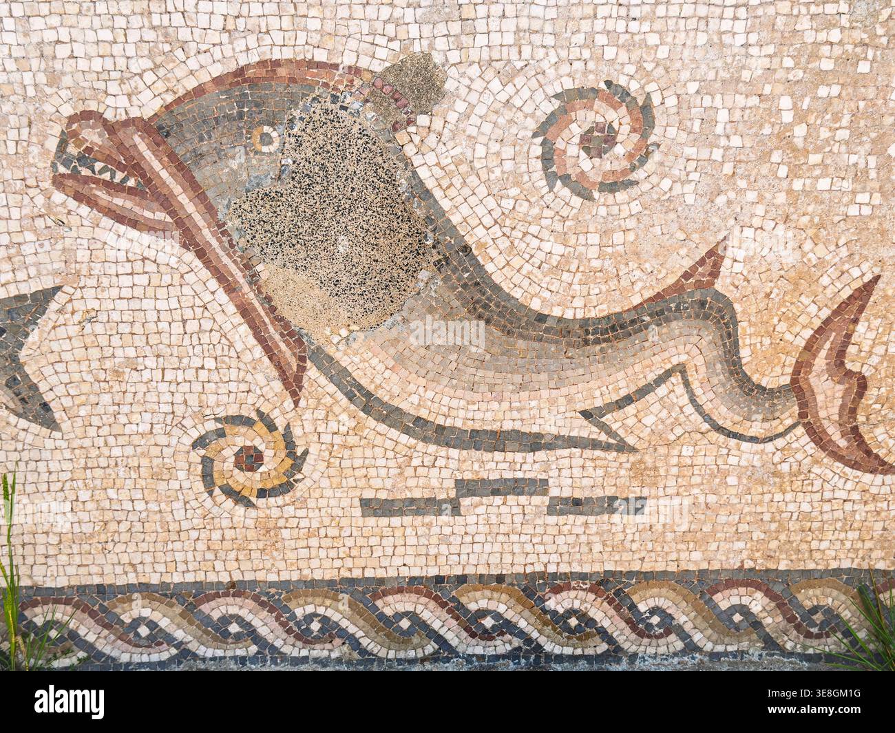 Altes römisches Bodenmosaik mit einem Delfin oder Meeresbewohner mit geometrischen Wellen und Musterarchäologische Stätte römische Ruinen von Milreu algarve portugal - Smartphone-aufgenommenes Stockfoto