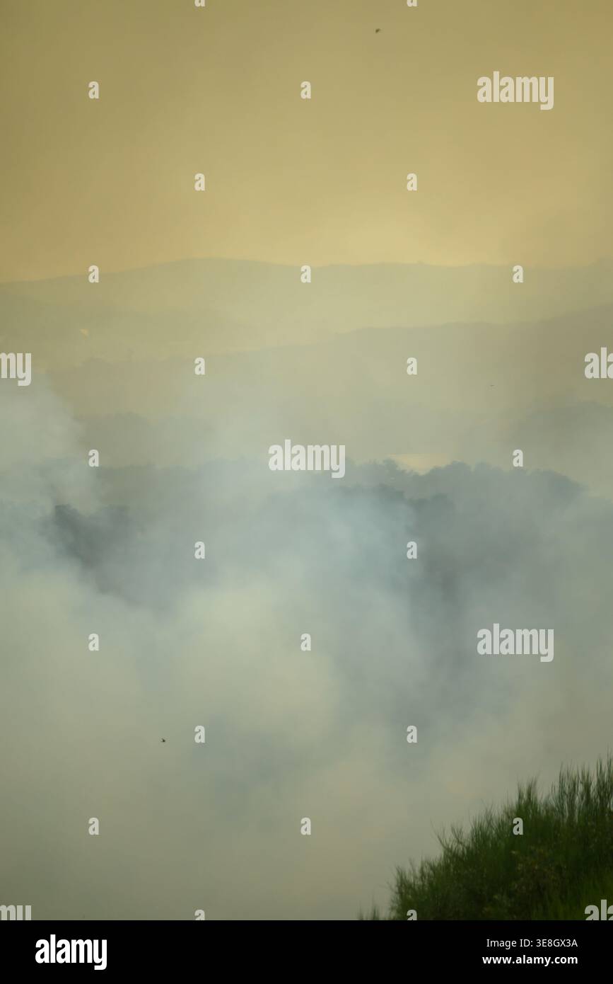 Atmosphärischer Nebel über einem Waldtal das Konzept des Geheimnisses Stockfoto