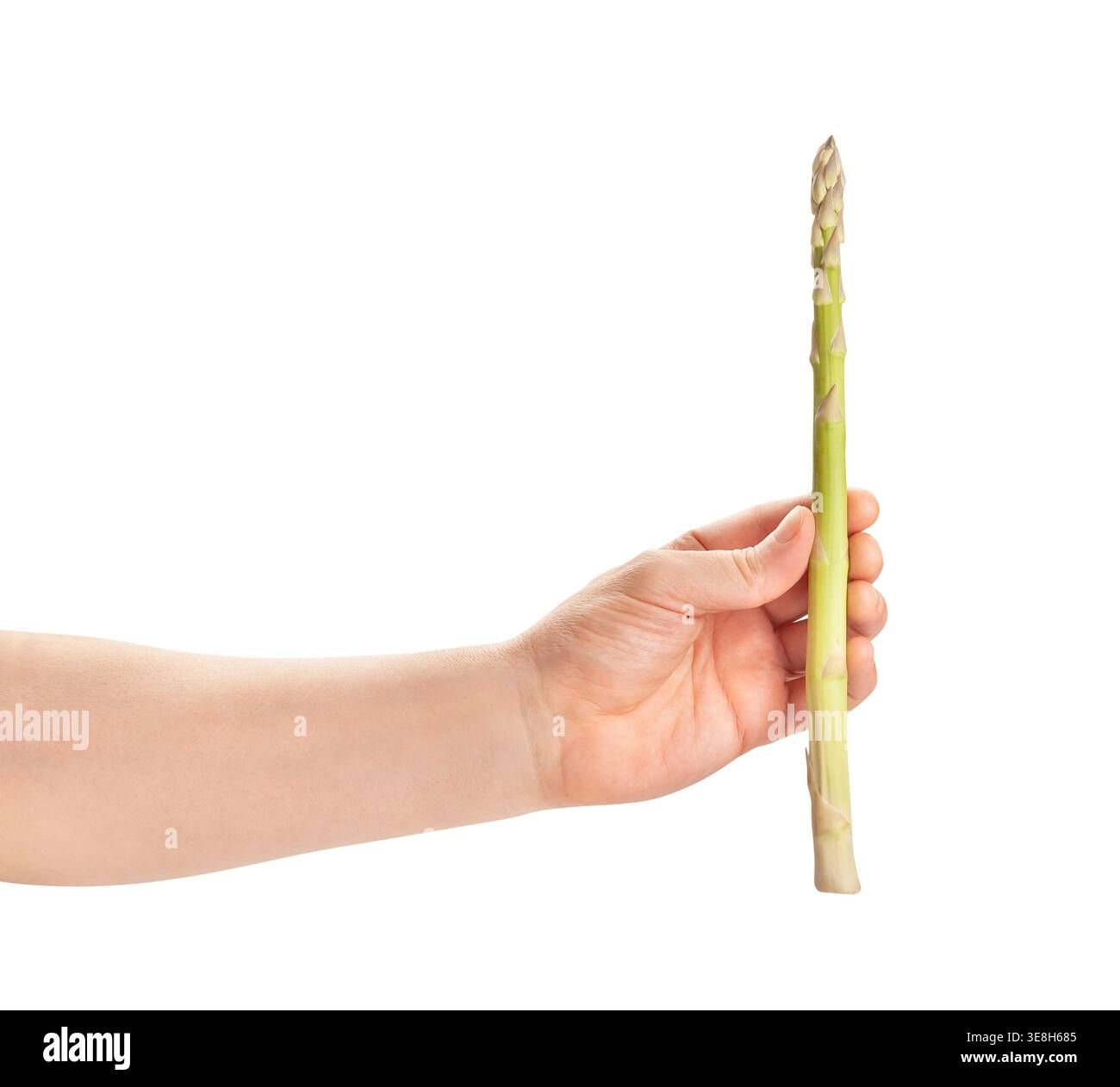 Spargel in der Hand Weg isoliert auf weiß Stockfoto