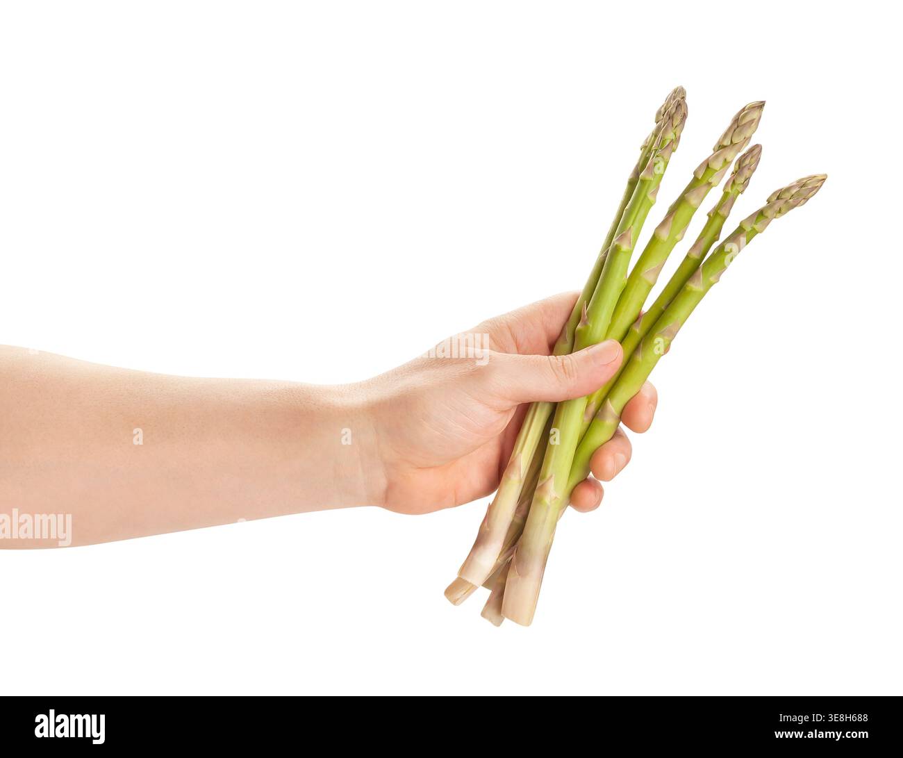 Spargel in der Hand Weg isoliert auf weiß Stockfoto