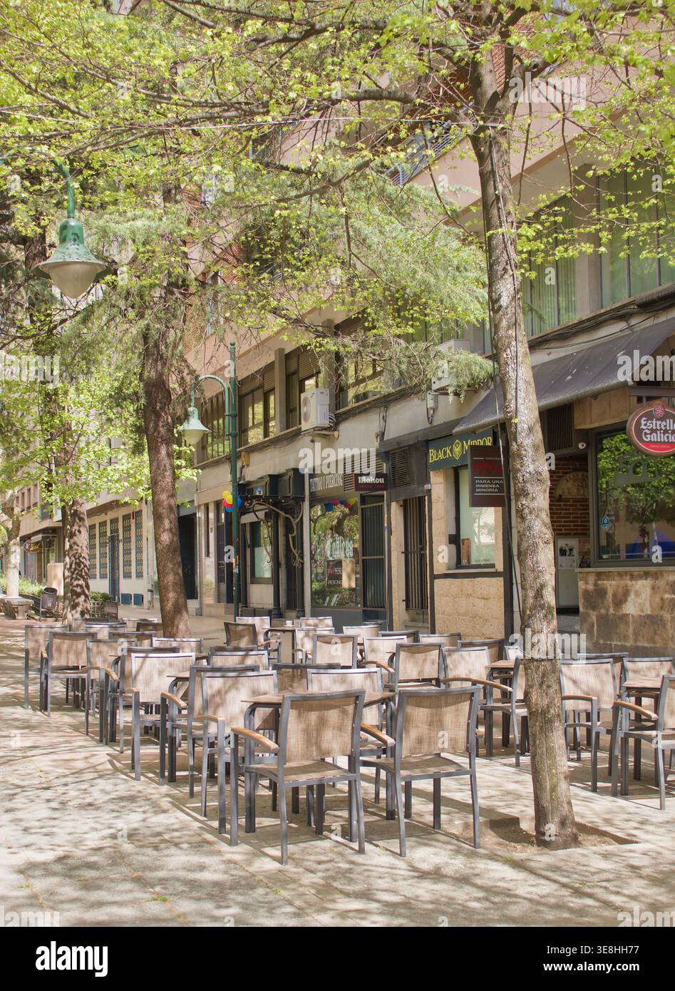 Leere Café-Terrasse im Schatten des jungen Frühlingsbaums Stockfoto