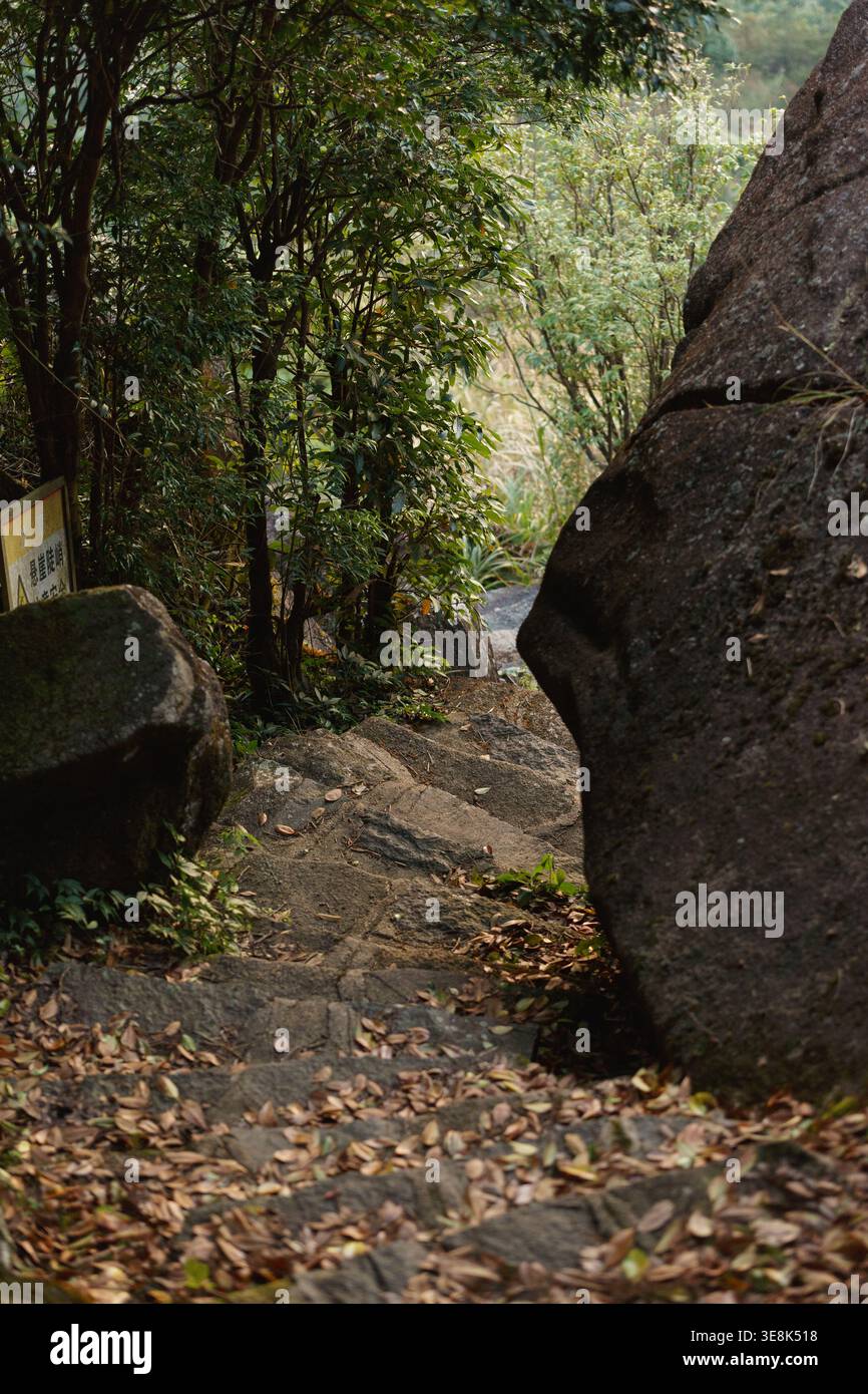 Steinwanderwege, bedeckt mit gefallenen Blättern in einem bewaldeten Berg Stockfoto