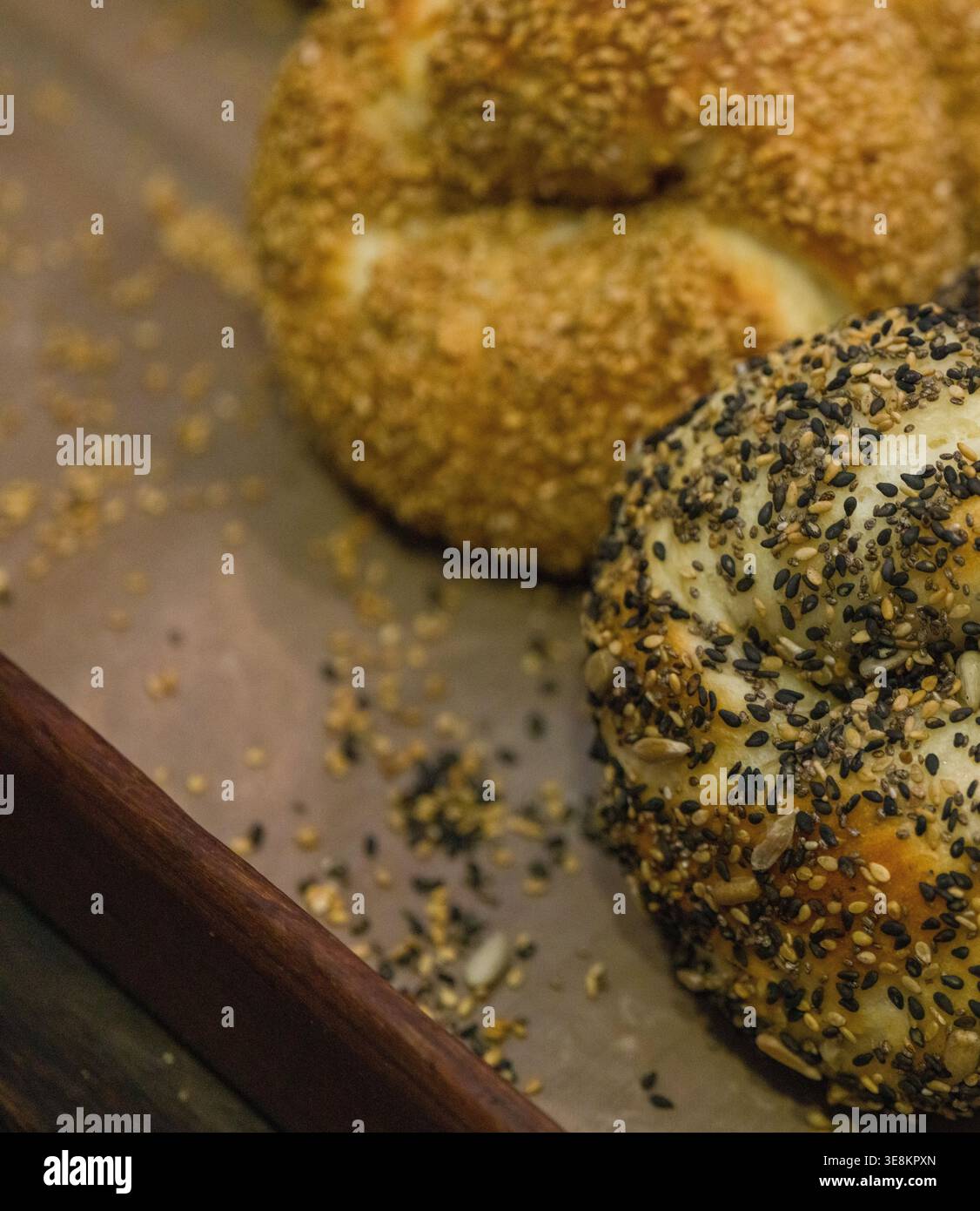 Sesam Bagel isoliertes Detail-Erntegut von Sesam und Mohnsamen Bagels zwei Tabletts Di. Dieses Bild zeigt Sesambagel, Sesamsamen, goldenes Sesam. Innen Stockfoto