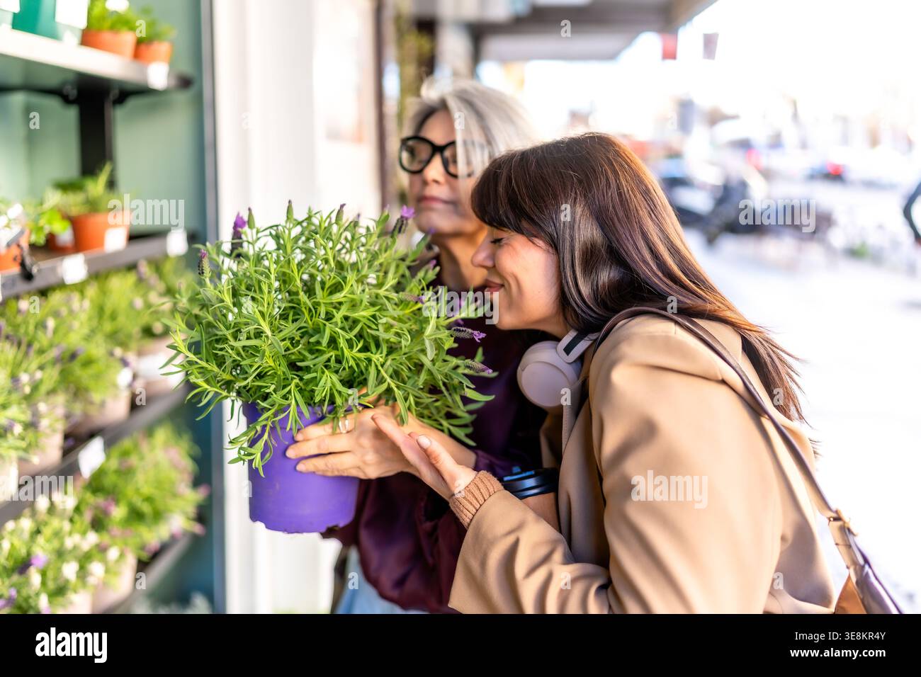 Frauen riechen Lavendelpflanzen in der Stadt Stockfoto