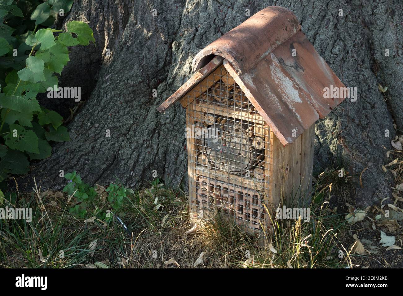 Holzinsektenhotel mit Fliesendach unter einem Baum in einem schattigen Sommergarten Stockfoto