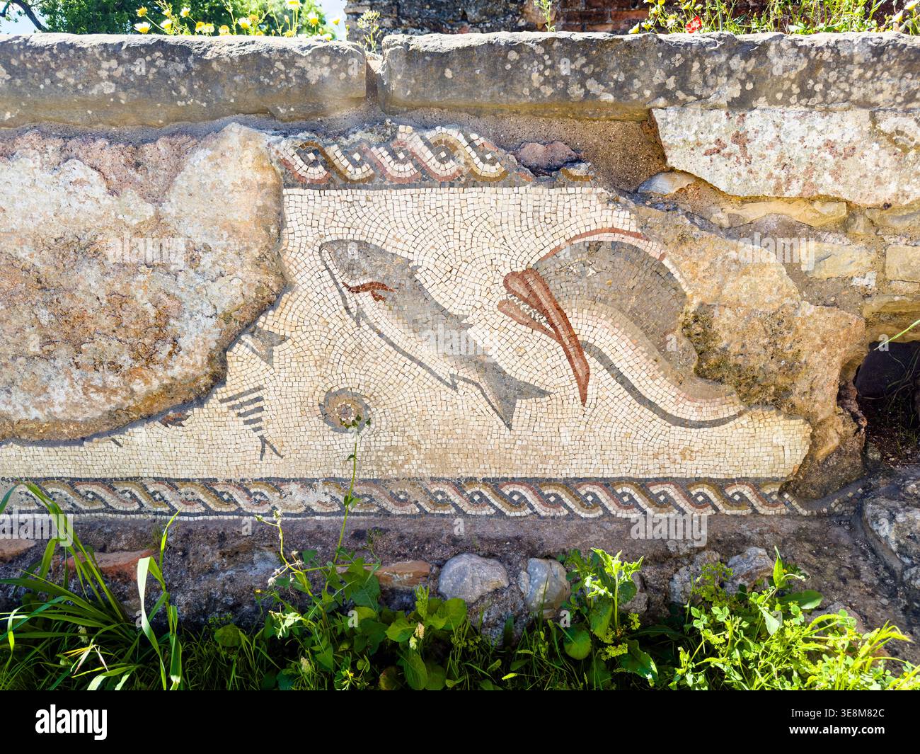 Altes römisches Bodenmosaik, das Fische und Meeresbewohner in den Ruinen Portugals darstellt, römische Ruinen von Milreu - Smartphone-aufgenommenes Stockfoto