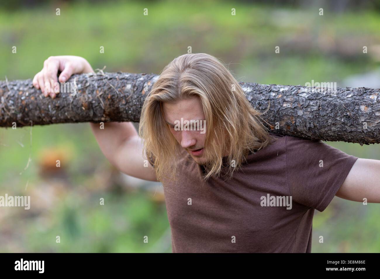 Starker junger Mann mit schwerem Baumstamm auf den Schultern bei Waldarbeiten im Freien. Konzept der harten Arbeit und Stärke im Außenbereich Stockfoto