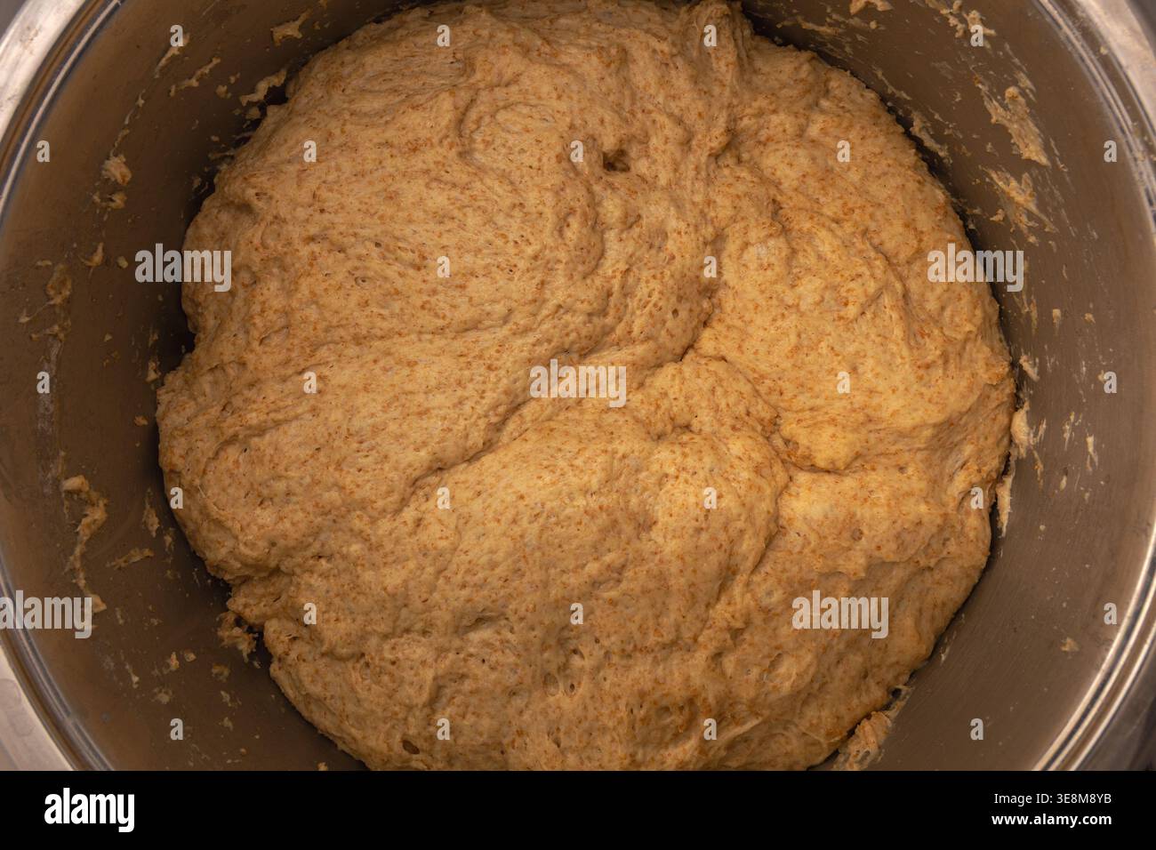 Hausgemachter Mehrkornteig mit Kleie, die in einem Edelstahlbehälter aufsteigt. Draufsicht. Stockfoto