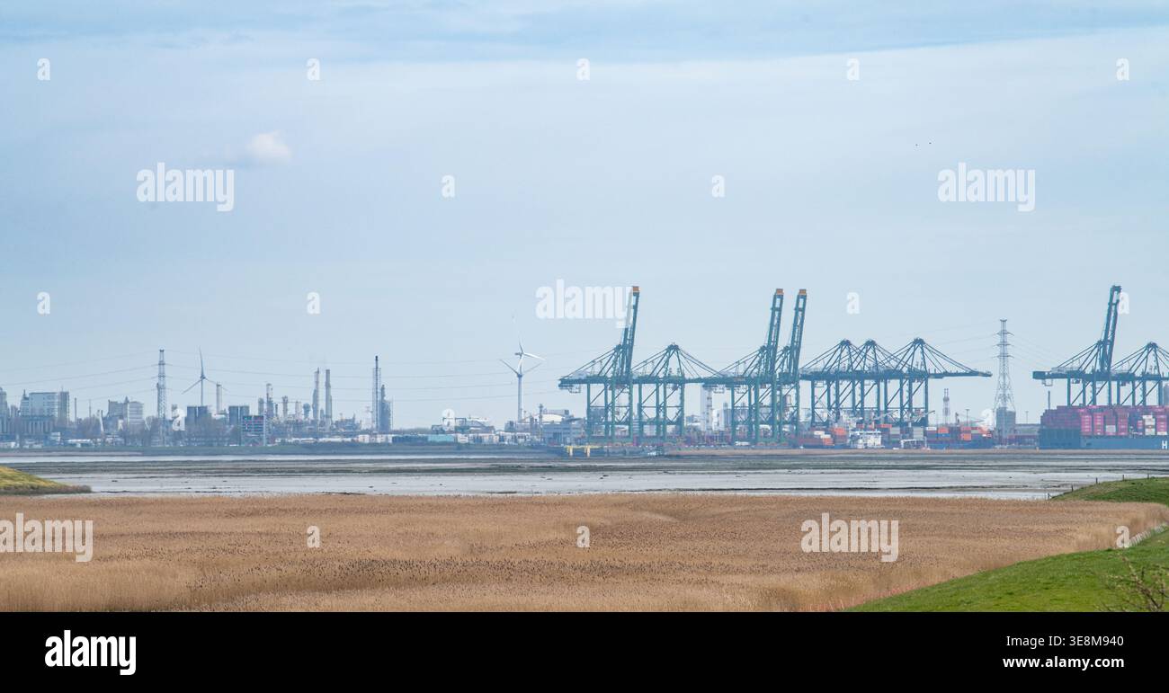 Hafen Antwerpen und versunkenes Land Saeftinghe, Feuchtgebiet und Industriezone zwischen den Niederlanden und Belgien, Atlantische Salzmoorlandschaft Stockfoto