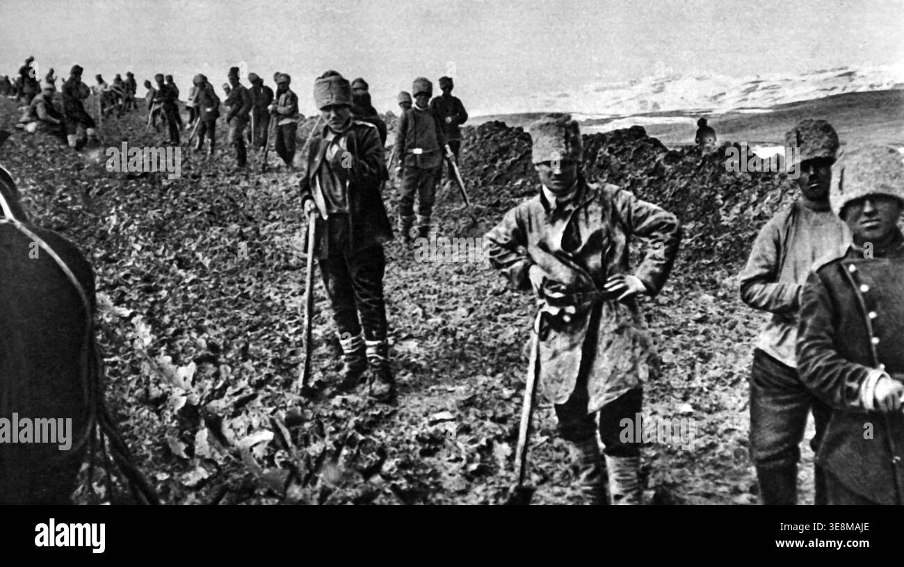 Russland - 1916; erster Weltkrieg in Armenien baute die russische Armee die Straße von Kara Urgan nach Hassan-Kale. Stockfoto