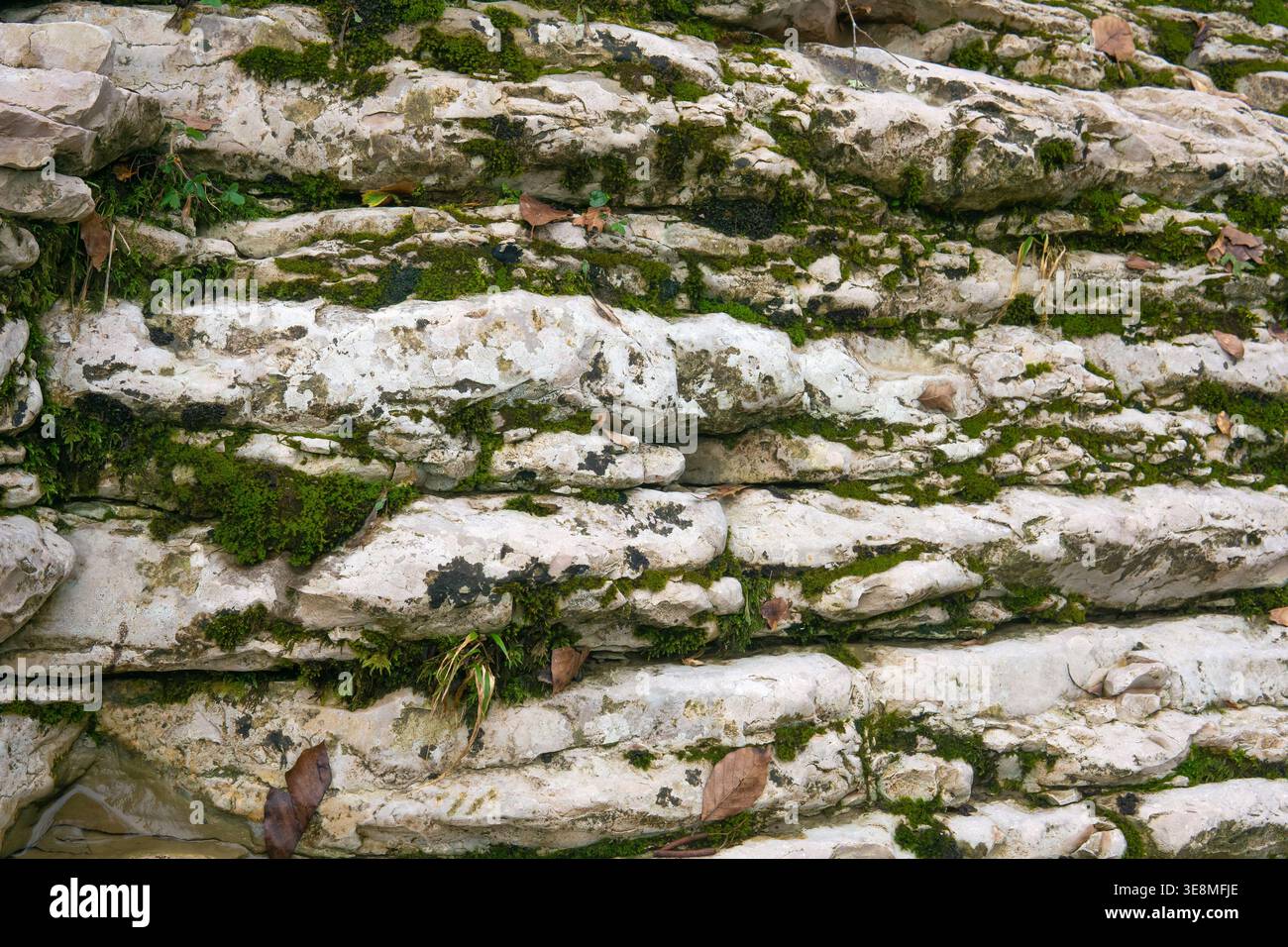 Steinmauer mit Moos und Flechten. Naturstein Hintergrund Textur. Stockfoto
