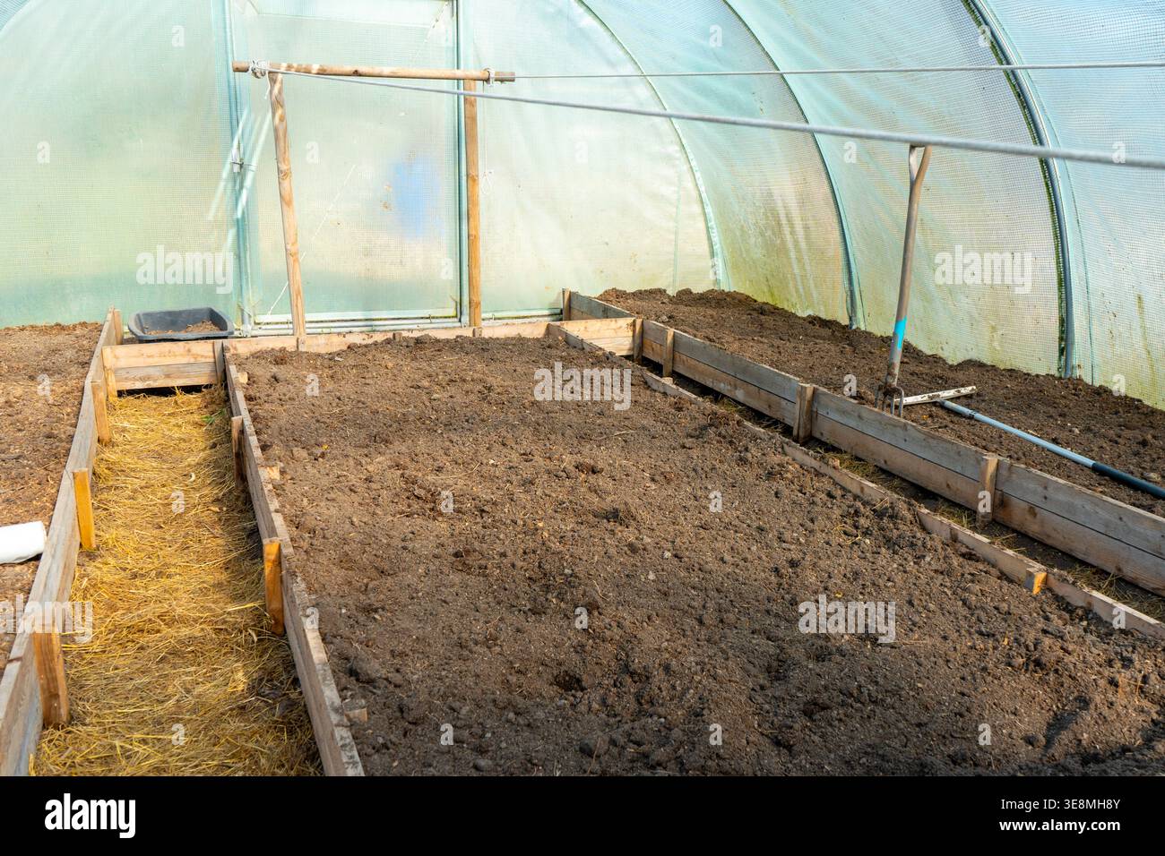 Leeres und sauberes Gewächshaus bereit zum Anpflanzen. Stockfoto