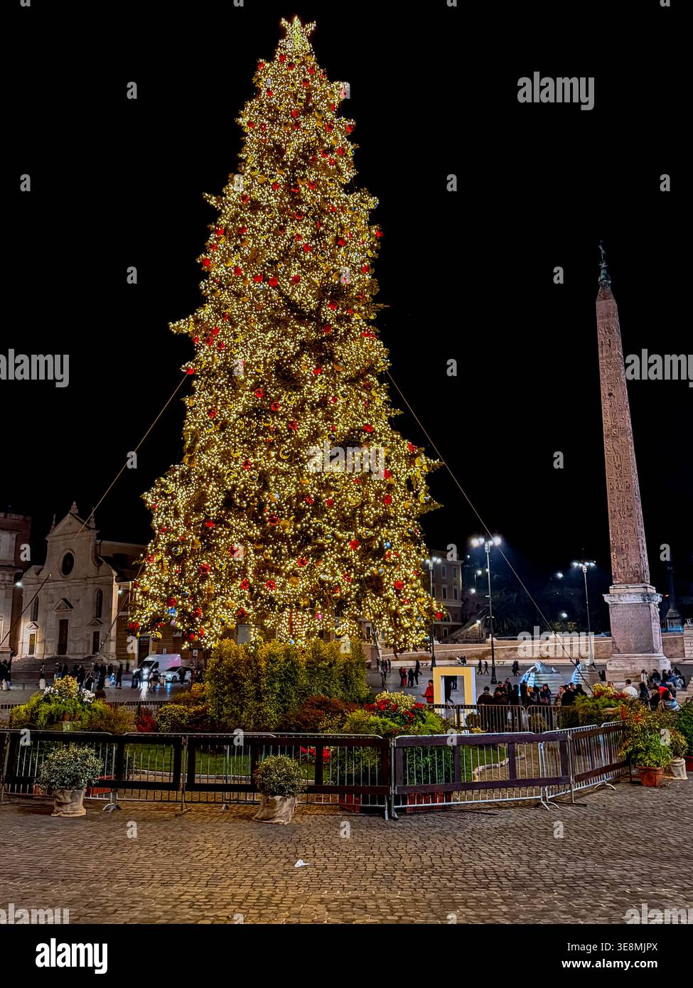 Weihnachten in Rom, ein großer geschmückter Weihnachtsbaum auf der Piazza del Popolo, einem großen städtischen Platz in Rom, Italien Stockfoto