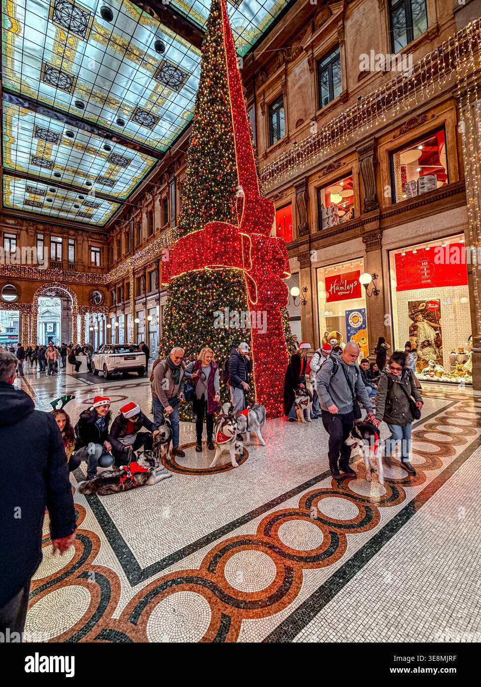Hundebesitzer mit ihren Huskies in der Galleria Alberyo Sordi, einer Weihnachtsarkade in Rom, Italien Stockfoto