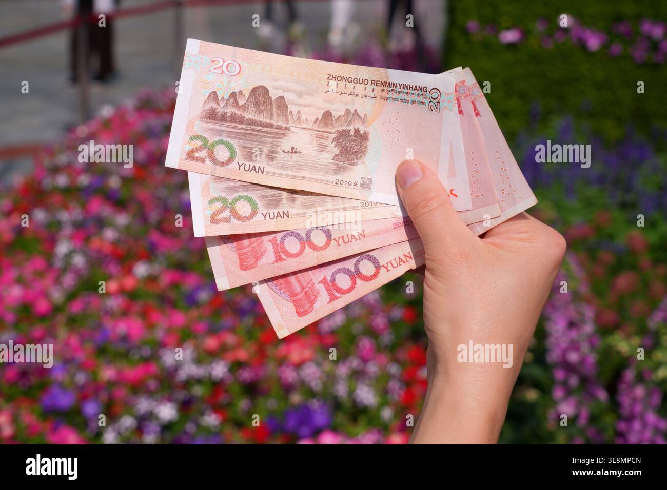 Renmimbi, chinesisches Yuan Papiergeld. Währung Chinas – Handhaltung gebrauchter Banknoten. Garten im Hintergrund. Stockfoto