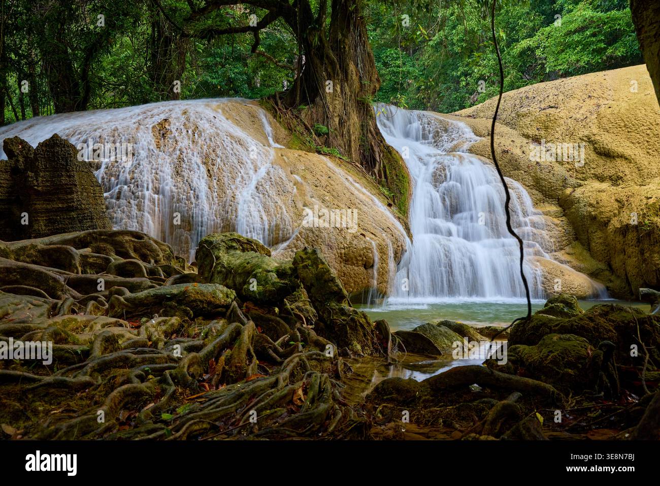 Ruhiger Wasserfall, der über Moosfelsen in einem üppigen Wald fließt Stockfoto