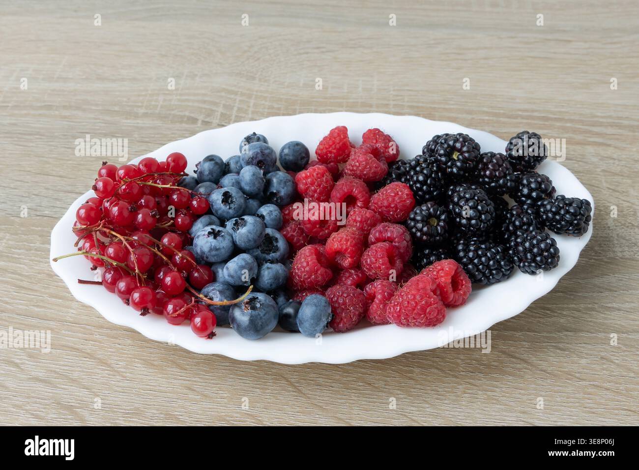 Verschiedene frische Beeren auf einem weißen Teller. Das Sortiment umfasst rote Johannisbeeren, Heidelbeeren, Himbeeren und Brombeeren, wunderschön auf einem angeordnet Stockfoto