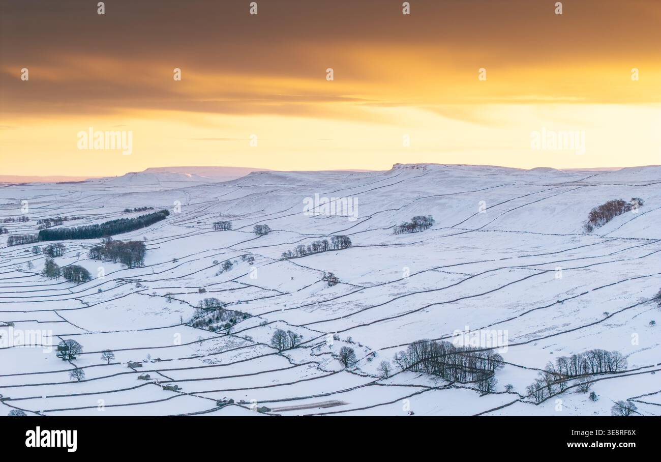 Sonnenaufgang an einem kalten winterlichen Morgen in Wensleydale bei Hawes. Yorkshire Dales National Park, Großbritannien. Stockfoto