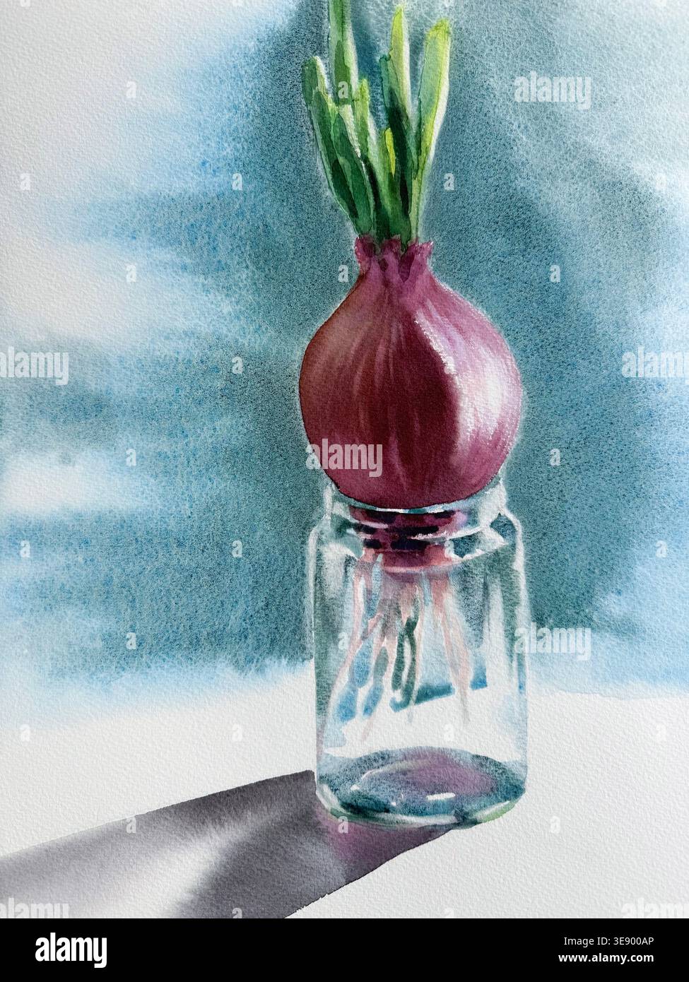 Eine Zwiebel in einer Glasflasche, realistisches Aquarellbild Stockfoto