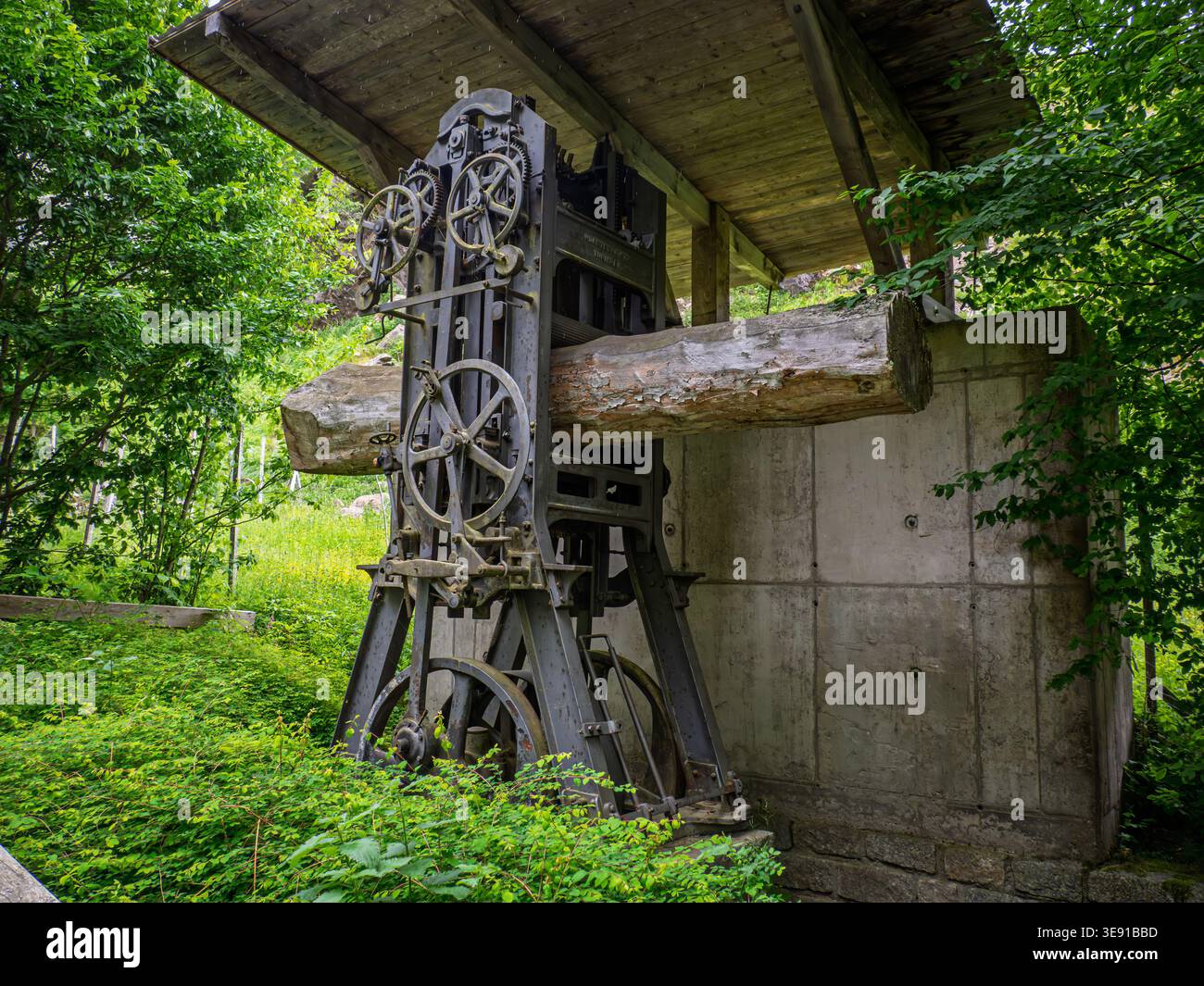 Schwarzwald, Deutschland-1. Juni 2022: Eine antike Säge zum Sägen großer Bäume als Exponat im Schwarzwaldgebiet bei Breisach. - Stockfoto