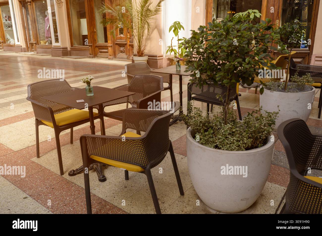Blick auf die Terrasse des Küstencafés mit weißen Stühlen und Tischen in einem Park. Gepflasterter Fußweg in der Nähe. Konzept der saisonalen Gastfreundschaft Handel und europäisches Resort Stockfoto