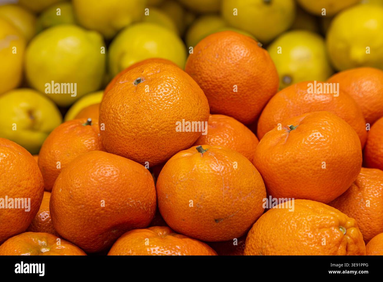 Ein Vollformatfoto von Orangen und Zitronen zum Verkauf, mit selektivem Fokus Stockfoto