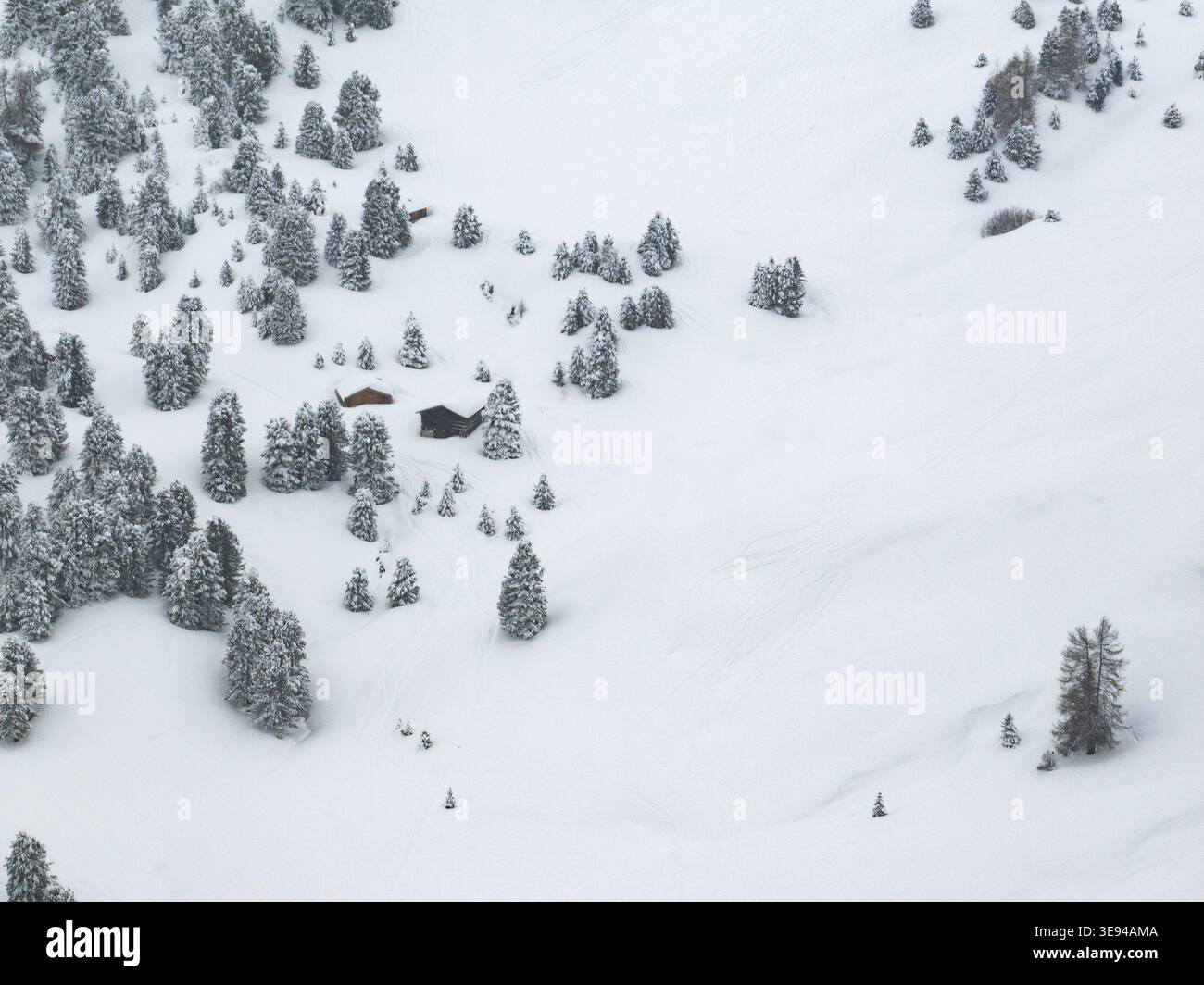 Blick aus der Vogelperspektive auf den schneebedeckten Sellapass mit kleinen Holzhütten inmitten von Kiefern an einem Winterhang in Wolkenstein, Trentino-Südtirol, Italien. Stockfoto