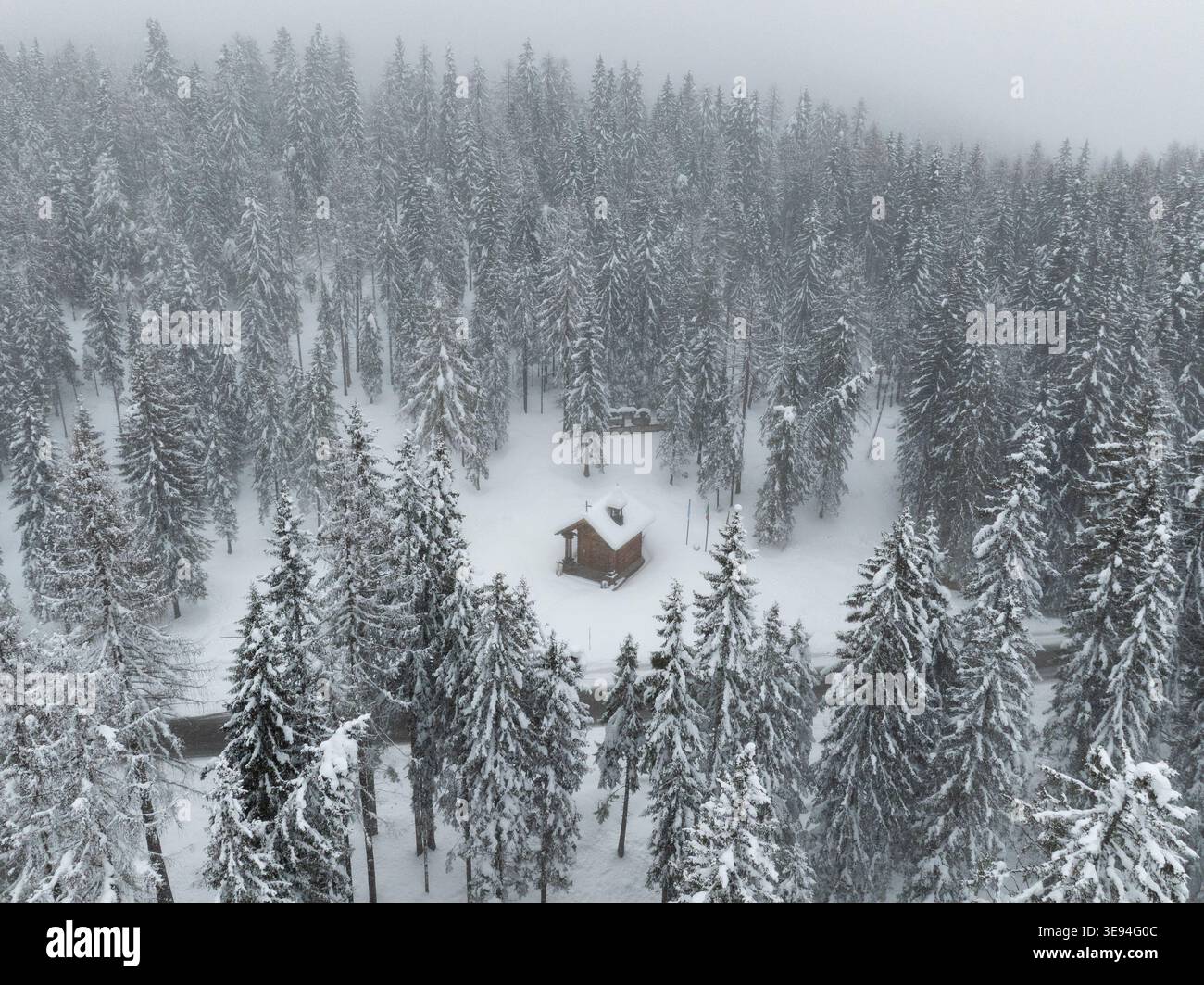 Aus der Vogelperspektive einer kleinen Holzhütte in einem dichten, schneebedeckten Kiefernwald in den Dolomiten unter einem nebeligen Winterhimmel in Rocca Pietore, Veneto, IT Stockfoto