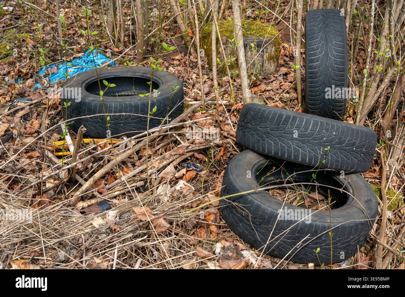 Alte Autoreifen wurden im Wald abgeladen, Umweltverschmutzung Stockfoto