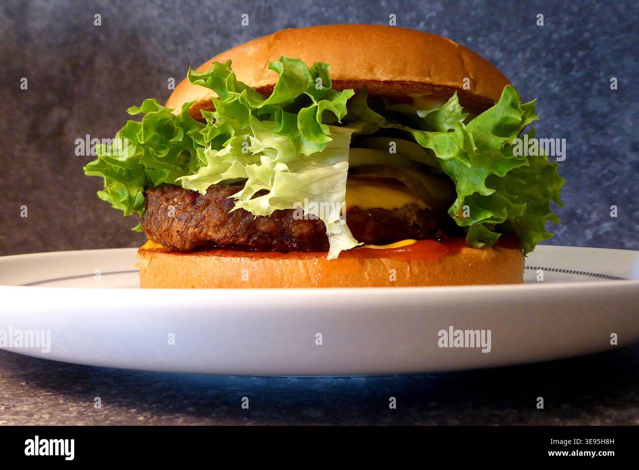 Burger/Hamburger Stockfoto