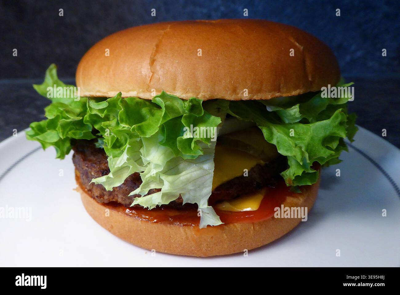 Burger/Hamburger Stockfoto