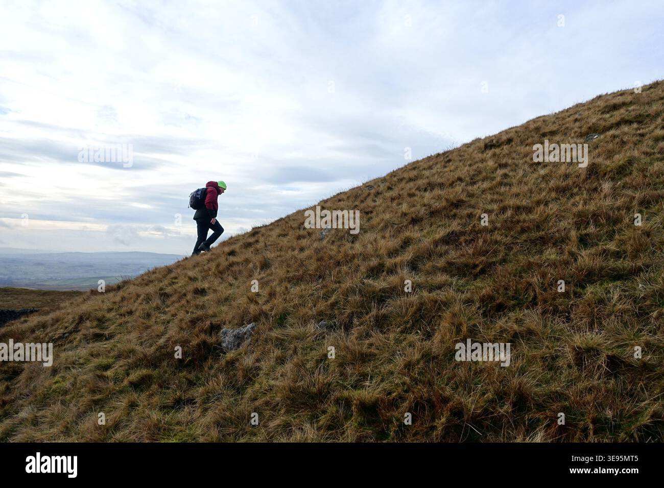 Älterer Mann (Wanderer) geht steil bergauf auf auf dem „Rye Loaf Hill“ in der Nähe von Settle, Yorkshire Dales National Park, England, Großbritannien. Stockfoto