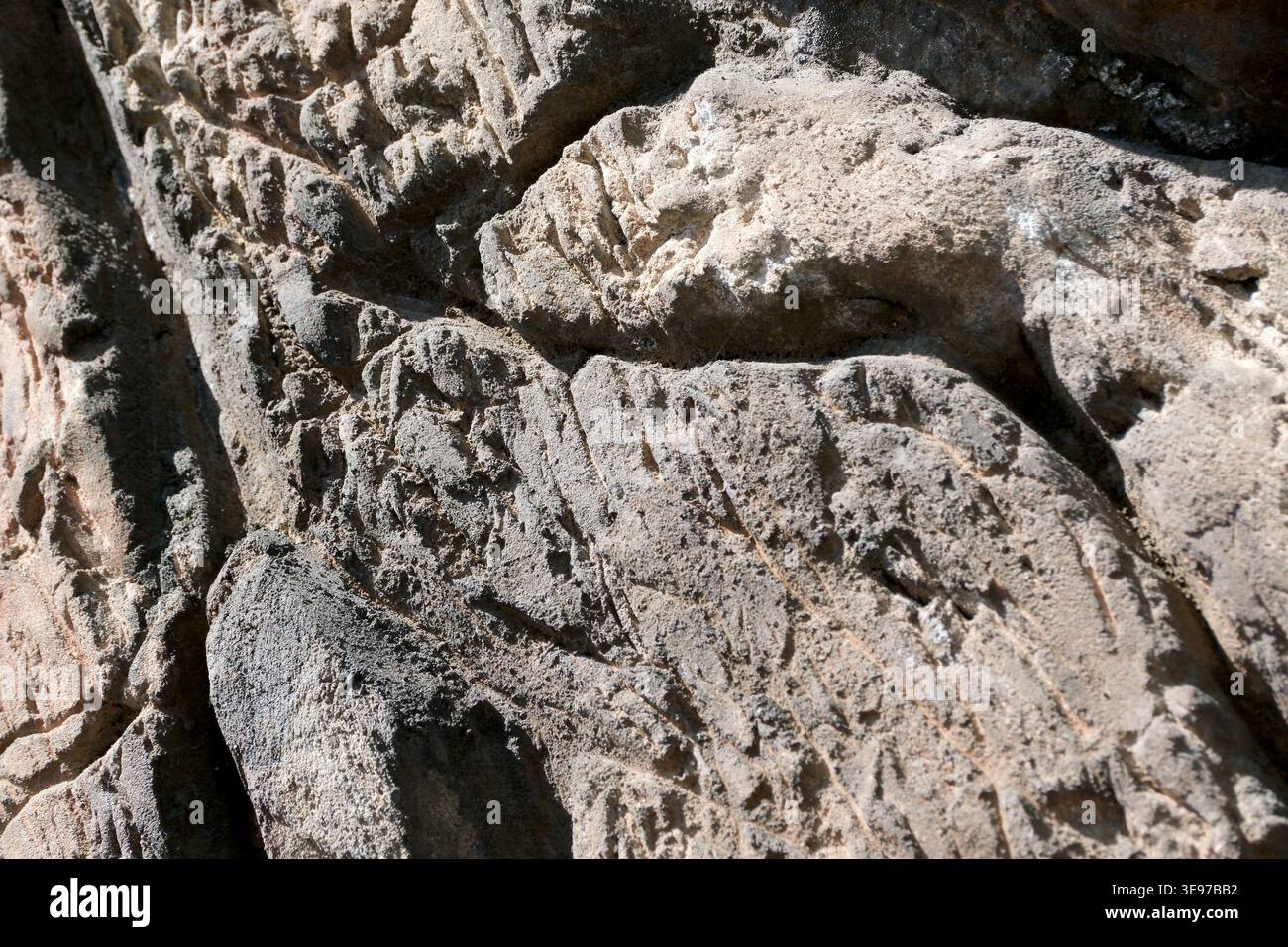 Aus verwittertem Stein entstehen komplizierte Muster, die die Kunst und das Alter der Natur offenbaren. Stockfoto