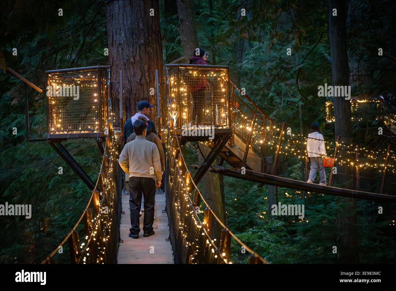 Canopy Walk, Fright Lights Event, Capilano Suspension Bridge Park, N.orth Vancouver, British Columbia, Kanada Stockfoto