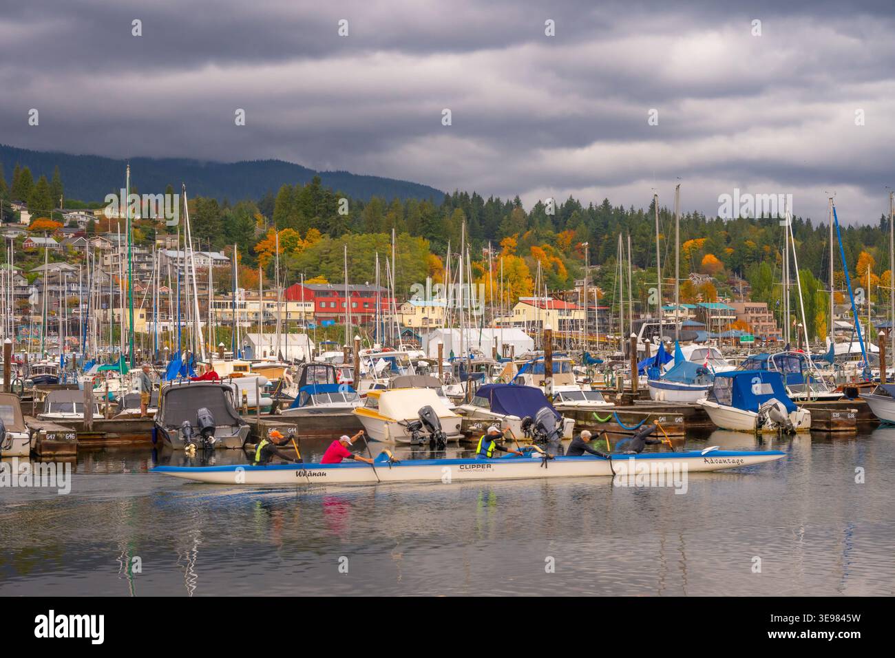 Ruderer in einem 5-Personen-Clipper-Kanu, Gibsons, Sunshine Coast, British Columbia, Kanada Stockfoto