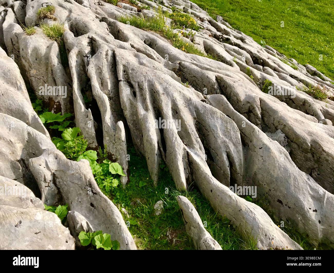 Einzigartige Kalksteinformationen in den Schweizer Alpen, Berner Oberland Stockfoto