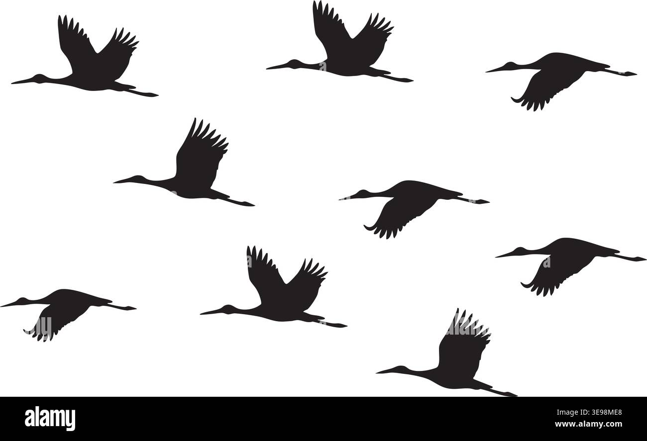 Silhouetten fliegender Gänse isoliert auf Weiß mit natürlichen Migrationsposen Stock Vektor