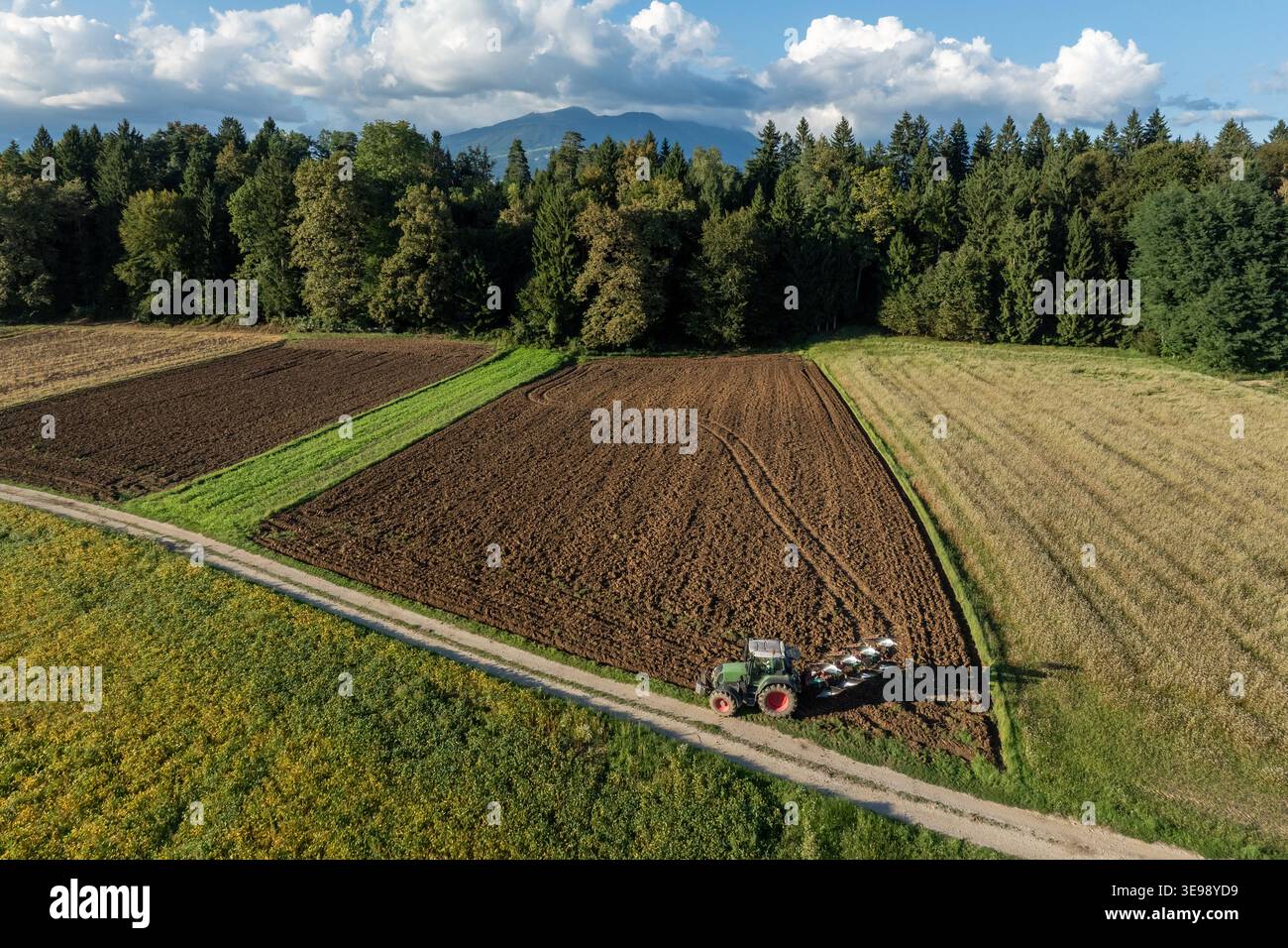 Der Traktor bewirtschaftet Land auf landwirtschaftlichem Feld, umgeben von Bäumen und Bergen unter klarem Himmel. Stockfoto