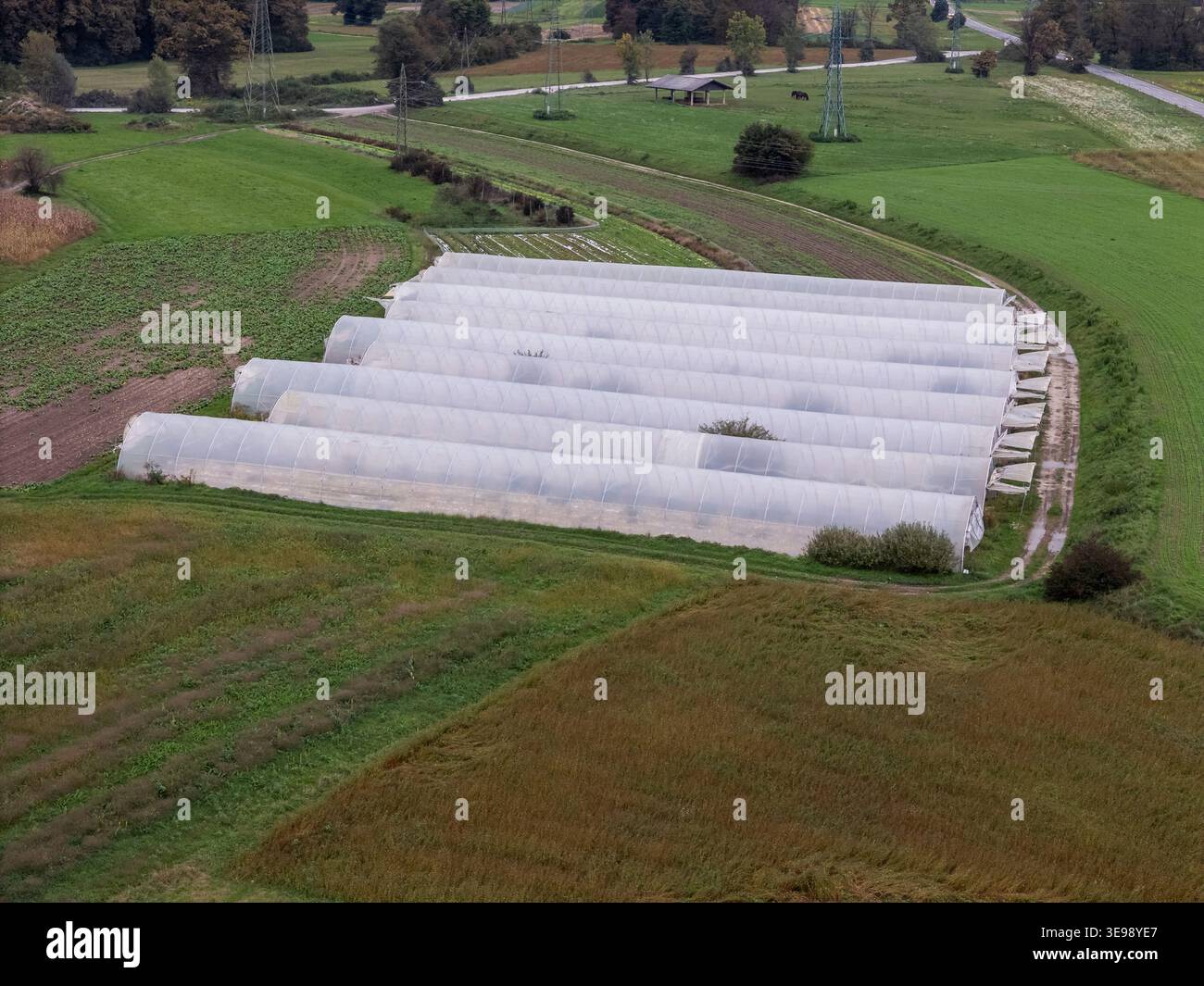 Landwirte bauen in Kunststofftunneln unter kontrollierten Bedingungen auf einem ländlichen Feld Feldfrüchte an. Stockfoto