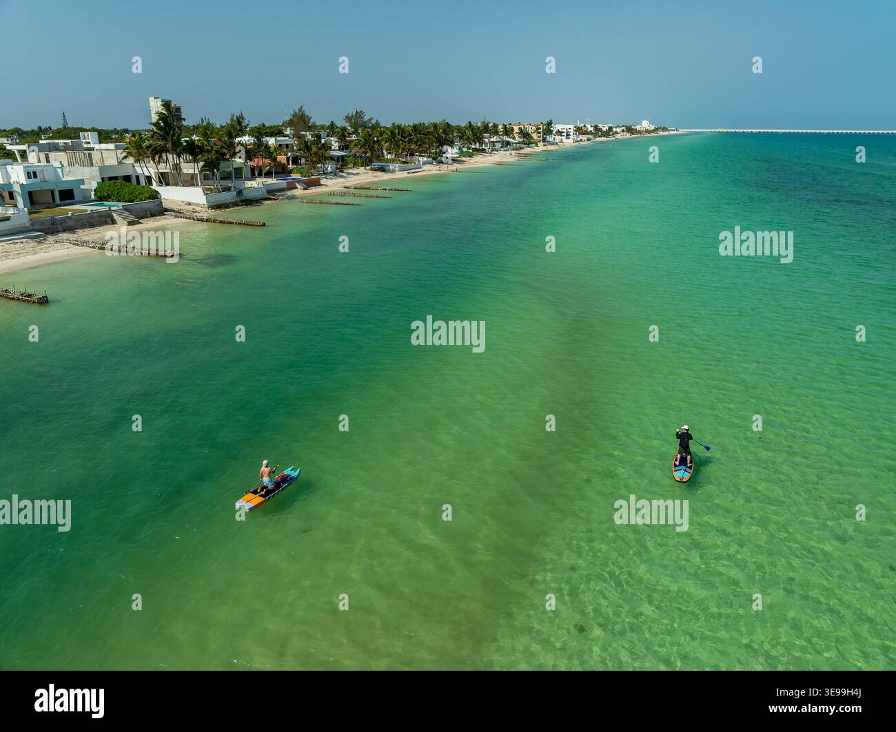 Aus der Vogelperspektive auf Paddleboards im türkisfarbenen Wasser entlang eines Sandstrandes mit Palmen und Häusern an der Küste in Yucatan, Mexiko. Stockfoto