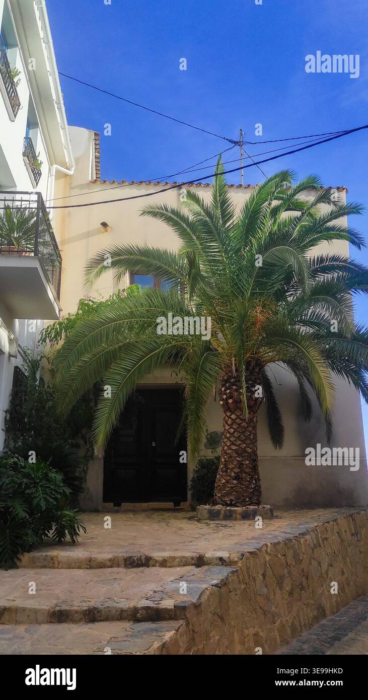Sonniger Nachmittagsblick auf ein traditionelles weiß getünchtes Gebäude und pulsierende Palmen in der bezaubernden Stadt Altea, Spanien, perfekt für Familienurlaube Stockfoto