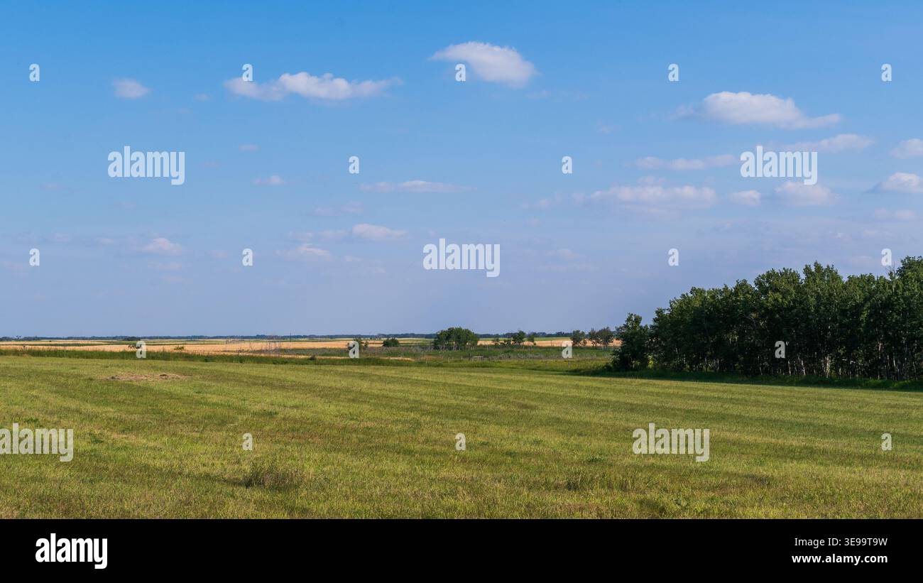 Die Weite von Saskatchewans offenem Land wird enthüllt, wo offenes Land auf einen weiten Himmel trifft. Stockfoto