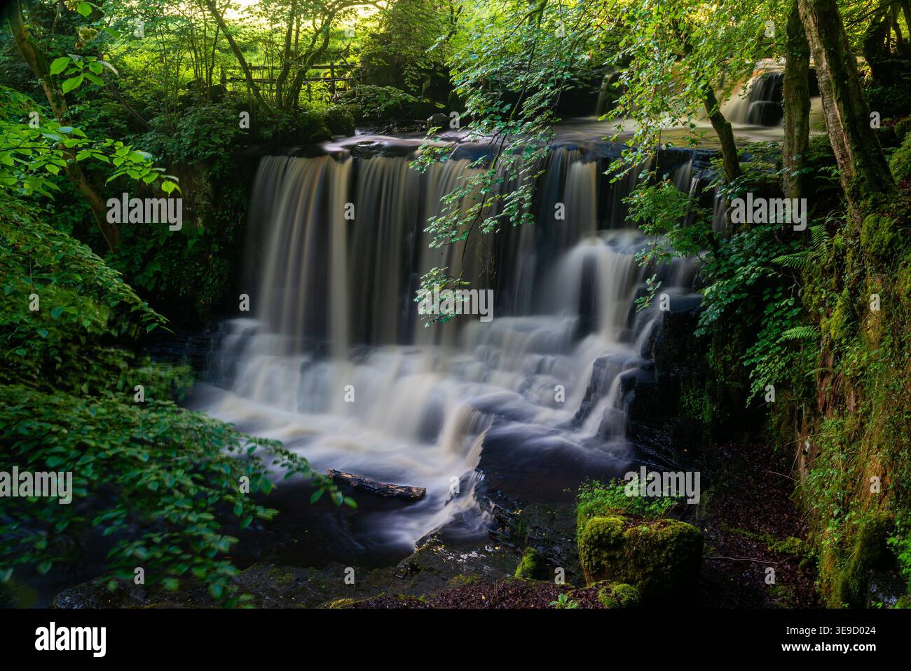 Seidenförmiger Wasserfall, der über gestufte Felsen in Swaledale stürzt Stockfoto