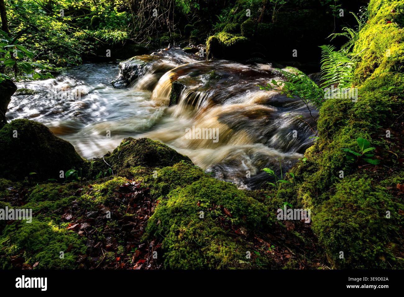 Seidenförmiger Wasserfall, der über gestufte Felsen in Swaledale stürzt Stockfoto