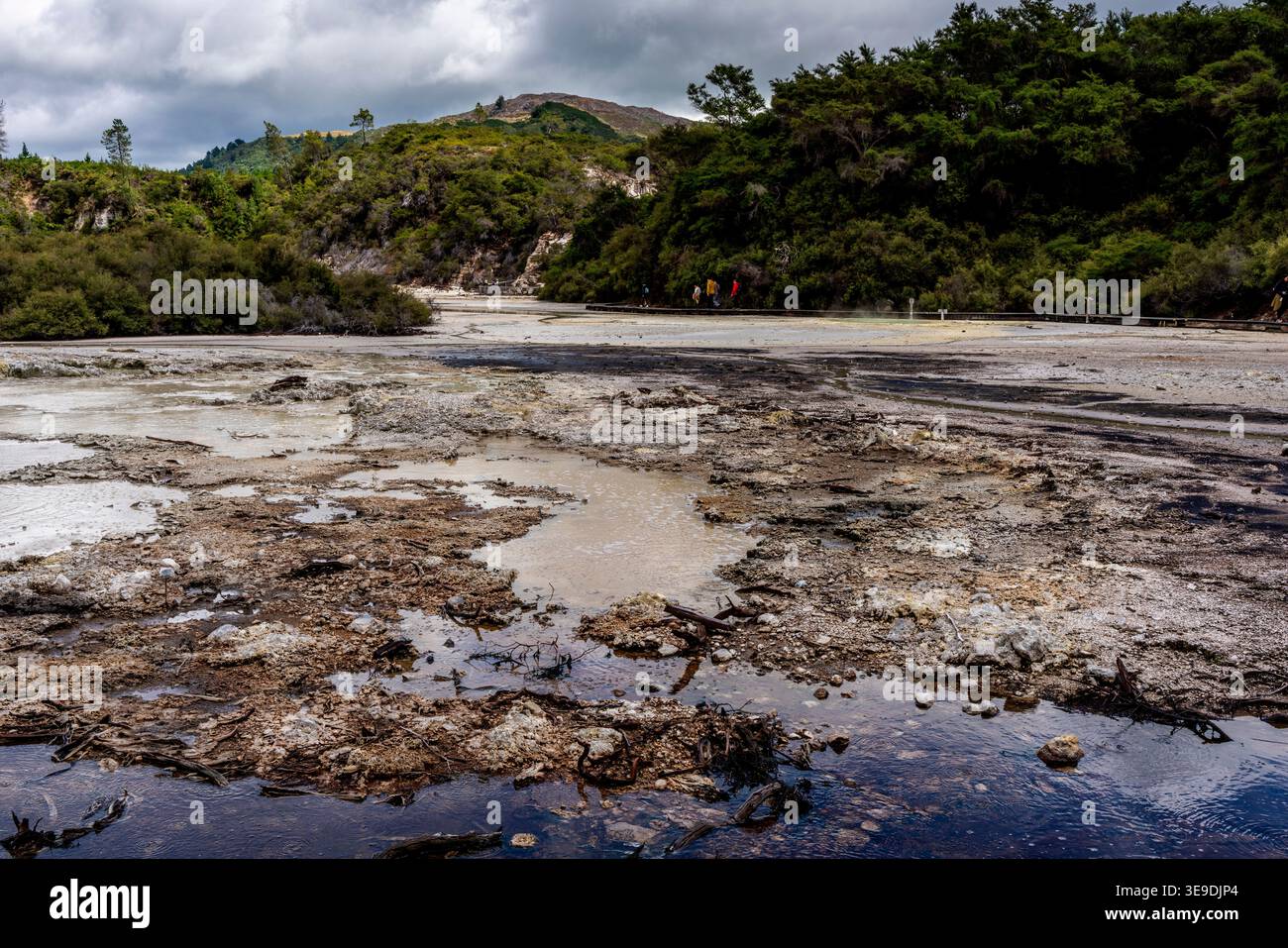 Wai-O-Tapu Thermal Wonderland, Rotorua, Bay of Plenty, Neuseeland. Stockfoto