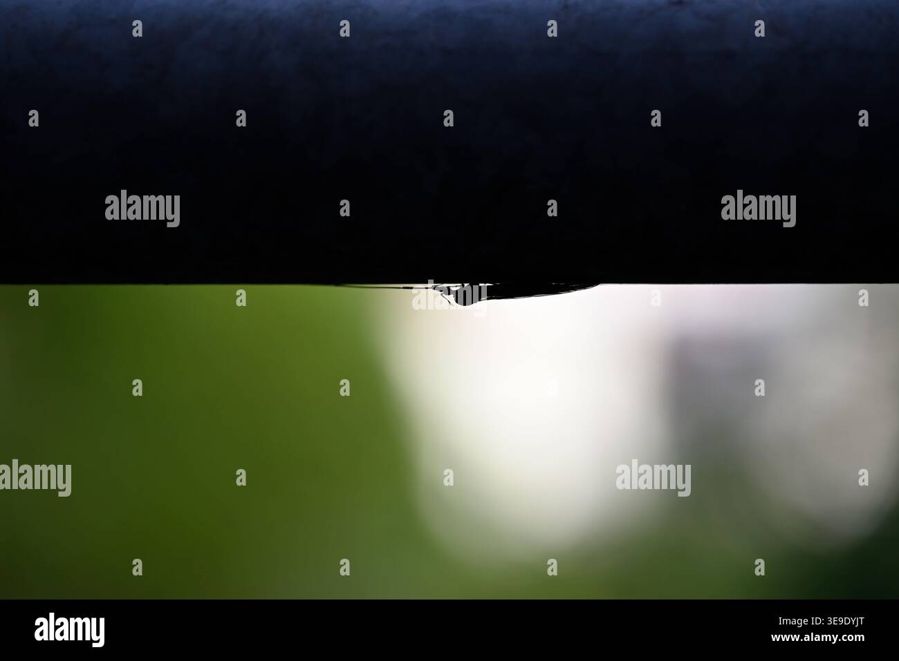 Insekten mit verschwommenem Hintergrund verstecken. Insekten unter der Metallstange versuchen, sich vor Tageslicht zu verstecken. Stockfoto