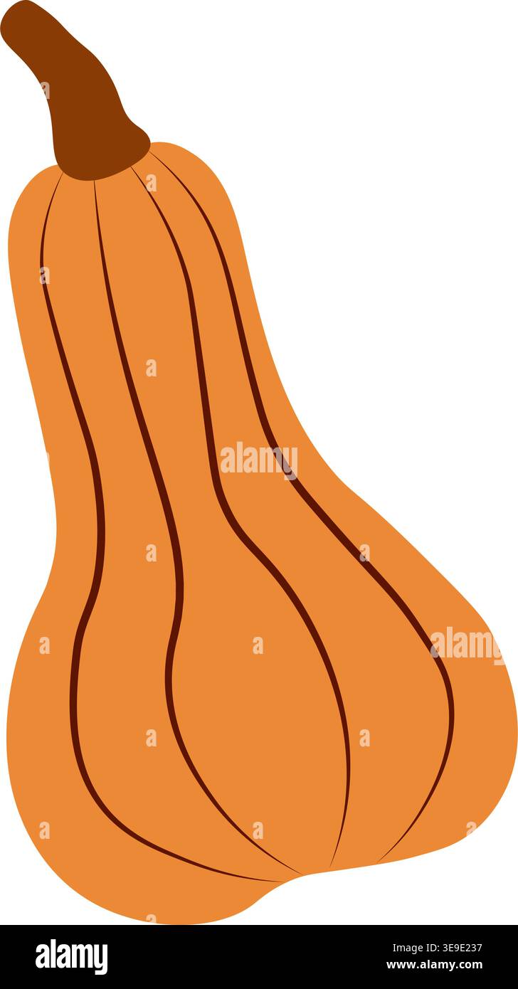 Klassisches Butternut-Kürbis-Symbol. Ideal für Dekorationen im Herbst, in der Ernte, in Halloween und an Thanksgiving. Vektorabbildung Stock Vektor